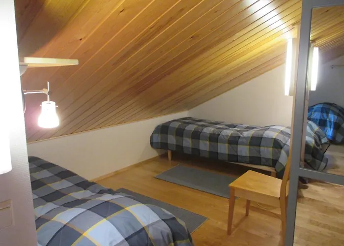 Polar Star Origo ليفي